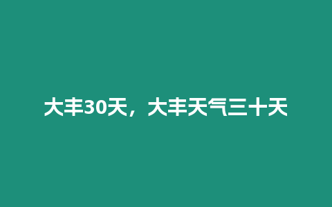 大豐30天，大豐天氣三十天