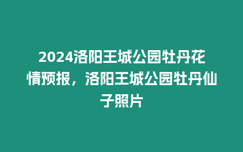 2024洛陽王城公園牡丹花情預報，洛陽王城公園牡丹仙子照片