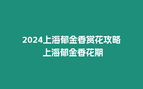 2024上海郁金香賞花攻略 上海郁金香花期