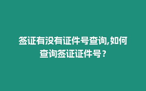 簽證有沒有證件號查詢,如何查詢簽證證件號？