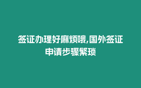 簽證辦理好麻煩哦,國外簽證申請步驟繁瑣