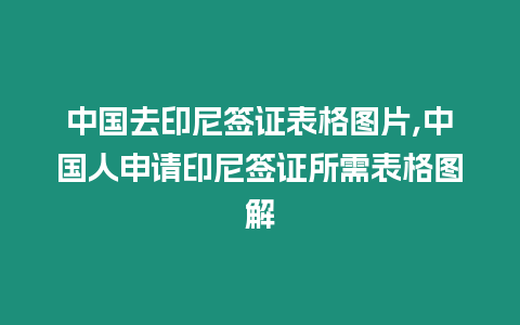 中國去印尼簽證表格圖片,中國人申請印尼簽證所需表格圖解