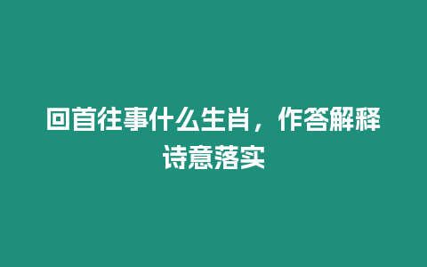 回首往事什么生肖，作答解釋詩意落實