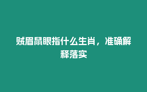 賊眉鼠眼指什么生肖，準確解釋落實