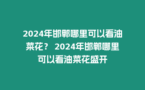 2024年邯鄲哪里可以看油菜花？ 2024年邯鄲哪里可以看油菜花盛開