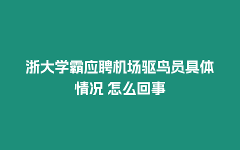 浙大學霸應聘機場驅鳥員具體情況 怎么回事