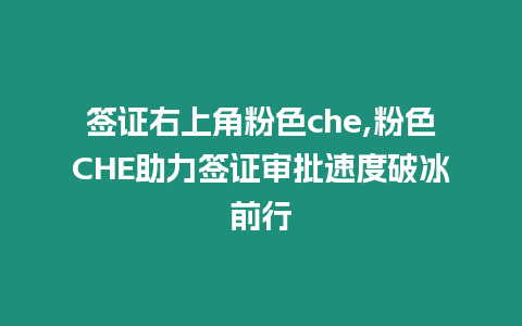 簽證右上角粉色che,粉色CHE助力簽證審批速度破冰前行