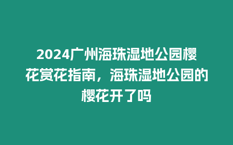 2024廣州海珠濕地公園櫻花賞花指南，海珠濕地公園的櫻花開了嗎