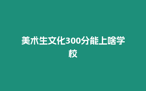 美術生文化300分能上啥學校