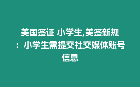 美國簽證 小學生,美簽新規：小學生需提交社交媒體賬號信息