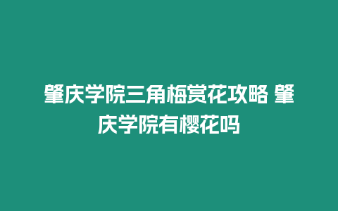 肇慶學院三角梅賞花攻略 肇慶學院有櫻花嗎