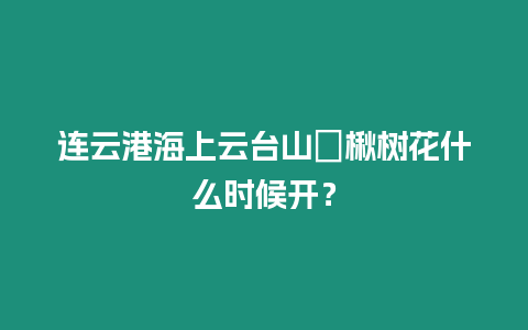 連云港海上云臺山?楸樹花什么時候開？