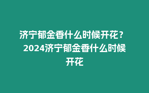 濟寧郁金香什么時候開花？ 2024濟寧郁金香什么時候開花