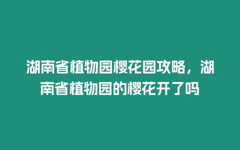 湖南省植物園櫻花園攻略，湖南省植物園的櫻花開了嗎