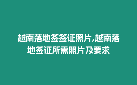 越南落地簽簽證照片,越南落地簽證所需照片及要求