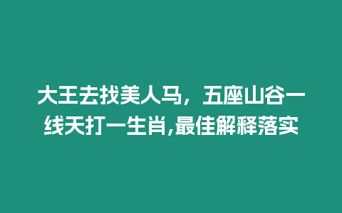 大王去找美人馬，五座山谷一線天打一生肖,最佳解釋落實