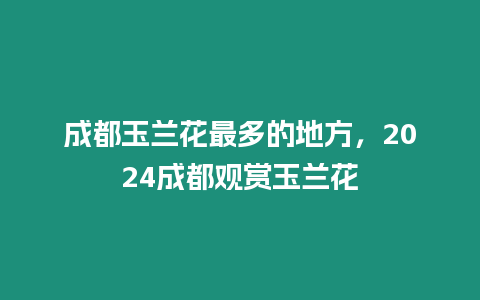 成都玉蘭花最多的地方，2024成都觀賞玉蘭花