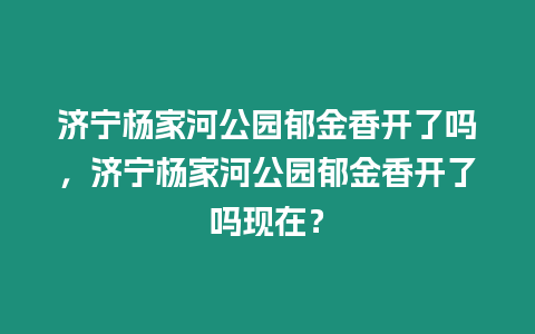 濟(jì)寧楊家河公園郁金香開了嗎，濟(jì)寧楊家河公園郁金香開了嗎現(xiàn)在？