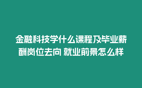 金融科技學(xué)什么課程及畢業(yè)薪酬崗位去向 就業(yè)前景怎么樣