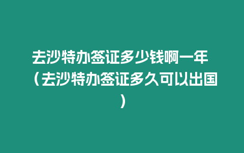 去沙特辦簽證多少錢啊一年 （去沙特辦簽證多久可以出國）