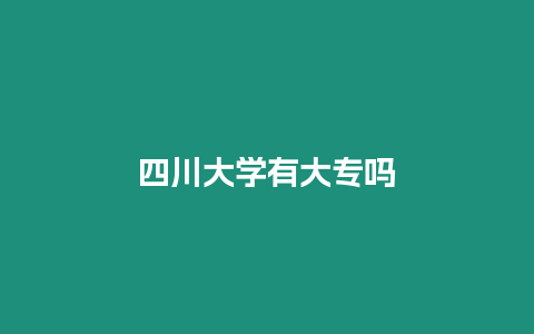 四川大學(xué)有大專嗎