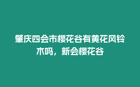 肇慶四會(huì)市櫻花谷有黃花風(fēng)鈴木嗎，新會(huì)櫻花谷