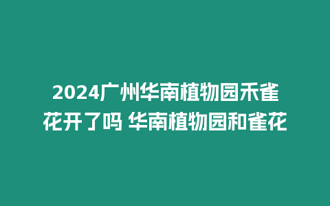 2024廣州華南植物園禾雀花開了嗎 華南植物園和雀花