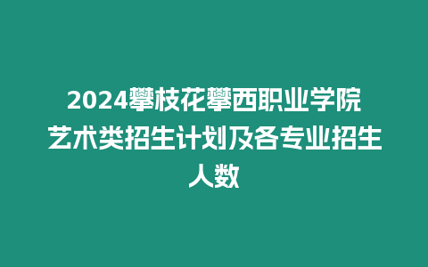 2024攀枝花攀西職業學院藝術類招生計劃及各專業招生人數