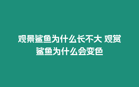 觀景鯊魚為什么長不大 觀賞鯊魚為什么會變色