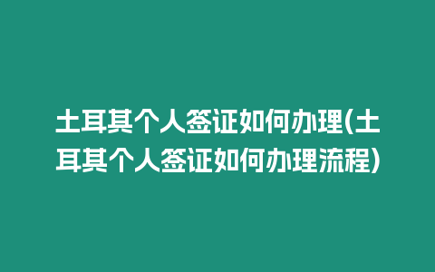 土耳其個人簽證如何辦理(土耳其個人簽證如何辦理流程)