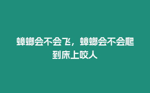 蟑螂會不會飛，蟑螂會不會爬到床上咬人