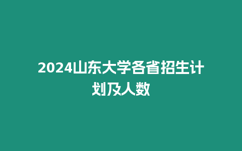 2024山東大學各省招生計劃及人數