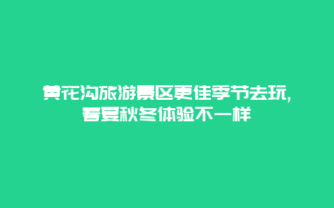 黃花溝旅游景區更佳季節去玩,春夏秋冬體驗不一樣