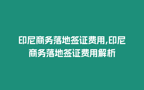 印尼商務落地簽證費用,印尼商務落地簽證費用解析