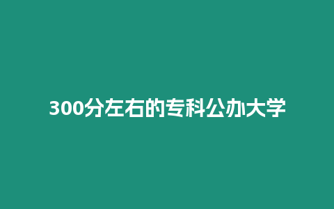 300分左右的專科公辦大學