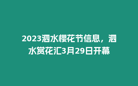 2023泗水櫻花節(jié)信息，泗水賞花匯3月29日開幕