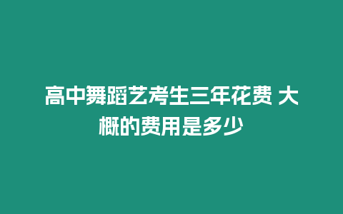 高中舞蹈藝考生三年花費 大概的費用是多少