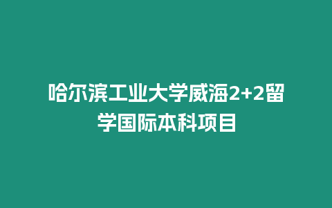 哈爾濱工業大學威海2+2留學國際本科項目