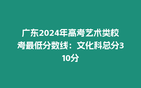 廣東2024年高考藝術類校考最低分數線：文化科總分310分