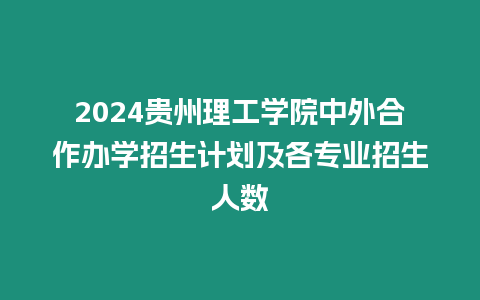 2024貴州理工學院中外合作辦學招生計劃及各專業招生人數