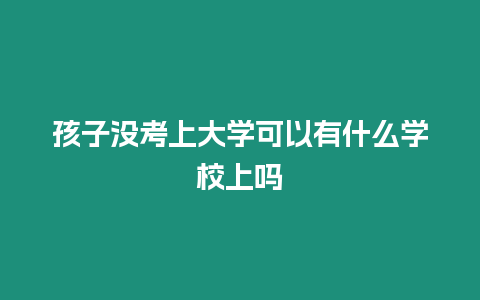 孩子沒考上大學可以有什么學校上嗎