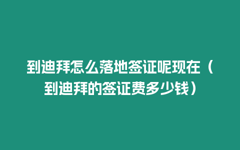 到迪拜怎么落地簽證呢現(xiàn)在（到迪拜的簽證費(fèi)多少錢）