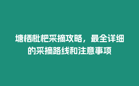 塘棲枇杷采摘攻略，最全詳細的采摘路線和注意事項