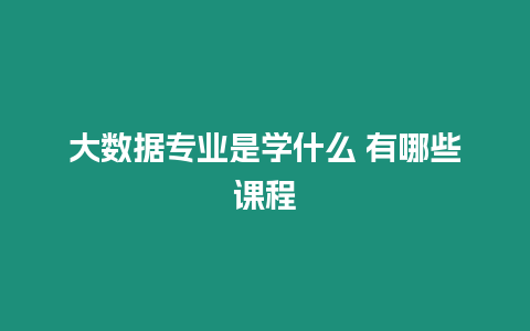 大數據專業是學什么 有哪些課程