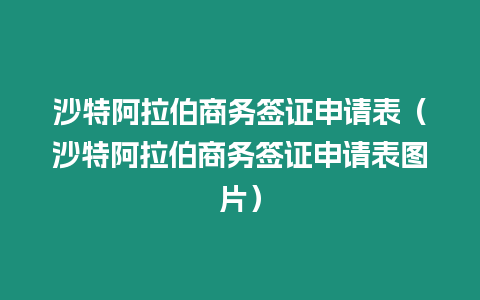 沙特阿拉伯商務(wù)簽證申請(qǐng)表（沙特阿拉伯商務(wù)簽證申請(qǐng)表圖片）