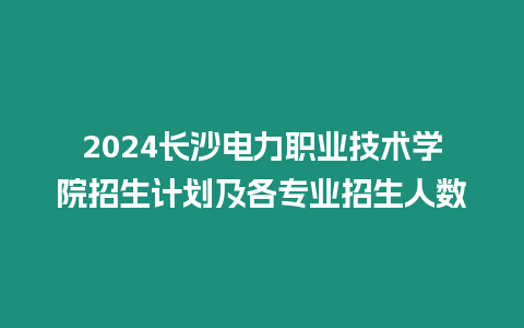 2024長沙電力職業技術學院招生計劃及各專業招生人數