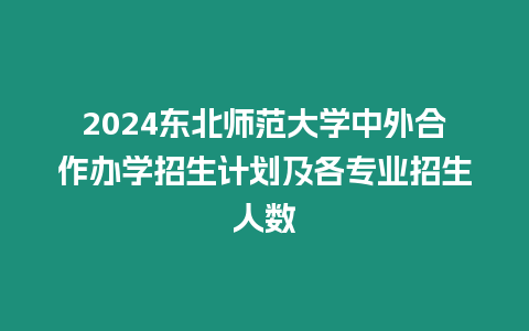 2024東北師范大學中外合作辦學招生計劃及各專業招生人數