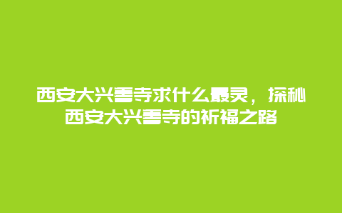 西安大興善寺求什么最靈，探秘西安大興善寺的祈福之路