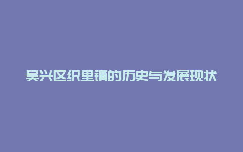 吳興區(qū)織里鎮(zhèn)的歷史與發(fā)展現(xiàn)狀