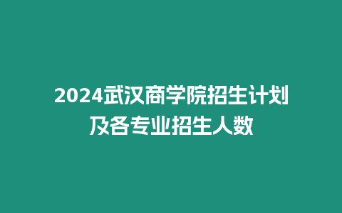 2024武漢商學院招生計劃及各專業招生人數